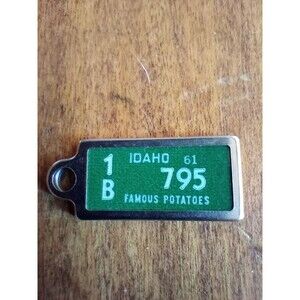 1961 Vintage Idaho Keychain License Plate DAV Disabled American Veterans